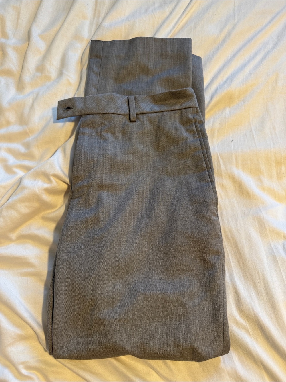 Louis Raphael 32x30 Classic Men's Dress Pants in Light Gray
